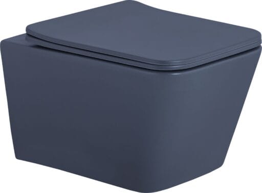 Rimless Matt Wall Mount Toilet